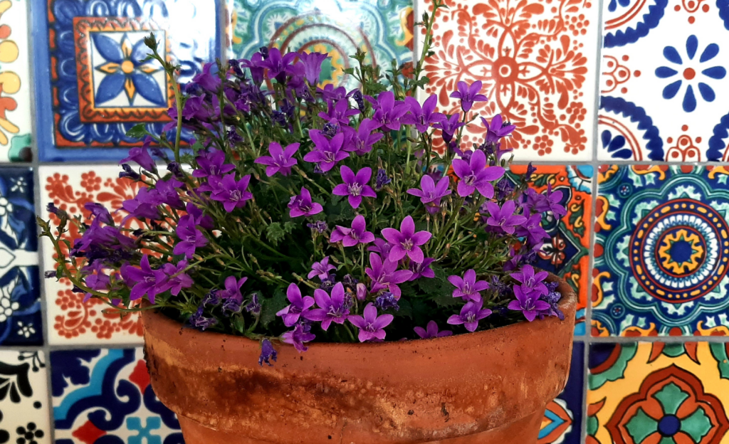 Praxis von Nicola Leicht